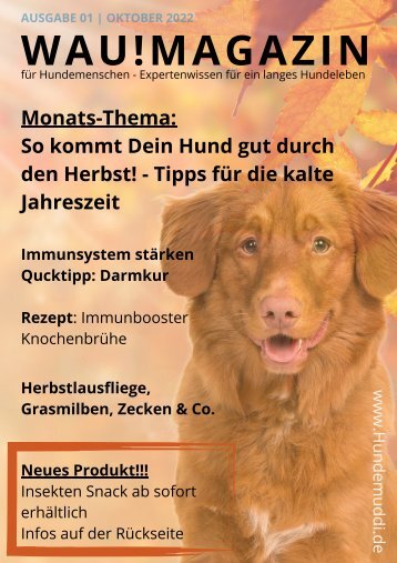 WAU!Magazin1