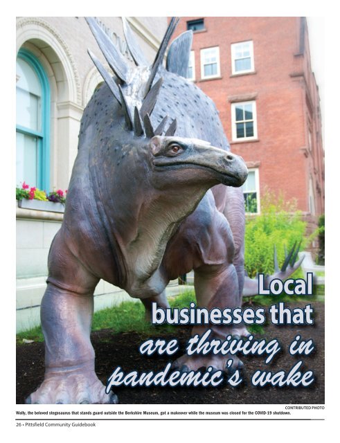 Pittsfield Community Guidebook