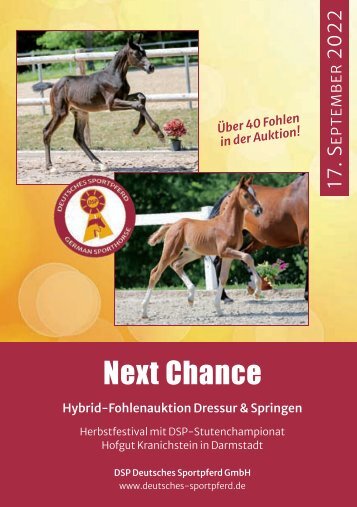 DSP-Fohlenauktion Next Chance