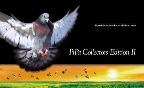 Pipa Collectors Edition II English