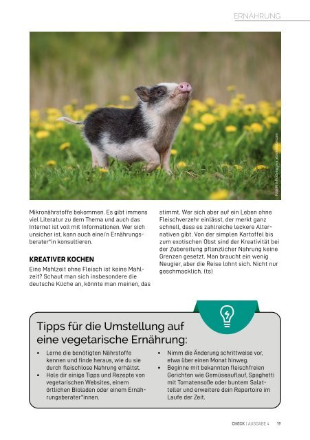 CHECK Magazin - Gesundheitsmagazin für Männer No.4