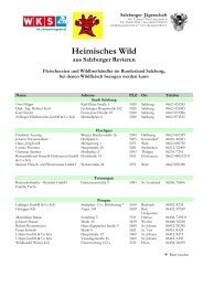 Heimisches Wild - Salzburger Jägerschaft