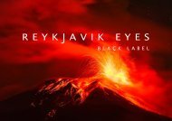 Reykjavik Eyes Black Label - Brand Book 2022