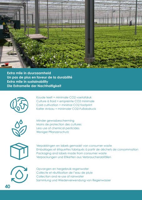 Brochure Floramor Corporate