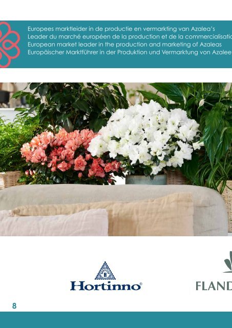 Brochure Floramor Corporate