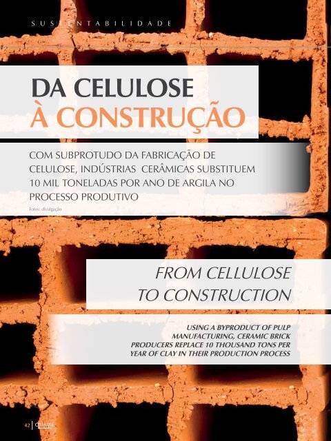 Celulose_57Web