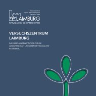 Laimburg Imagebroschüre | Deutsch