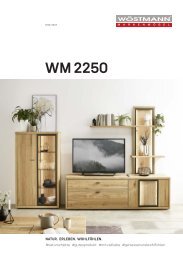 WM 2250 - Minibroschüre