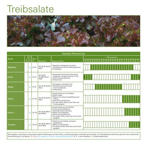 Leaflet Treibsalate 2022 | 2023