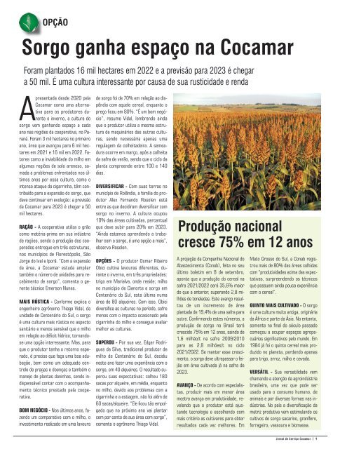 Jornal Cocamar Outubro 2022