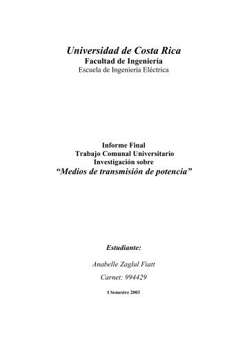 Informe TCU Anabelle Zaglul - Universidad de Costa Rica