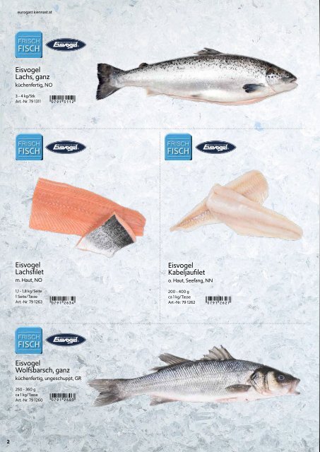 fisch_katalog_eg_2022_web