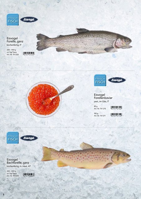 fisch_katalog_eg_2022_web