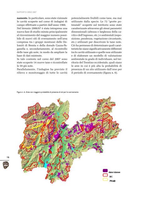 Rapporto orso 2007 - Orso - Provincia autonoma di Trento
