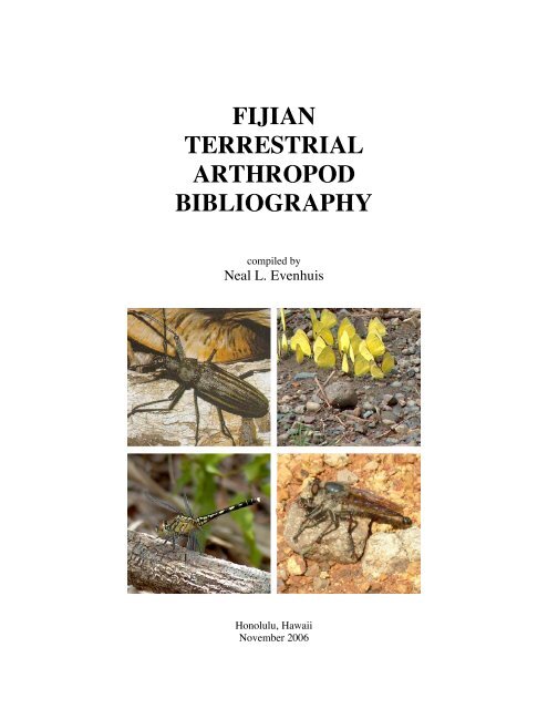 fijian terrestrial arthropod bibliography - Hawaii Biological Survey ...