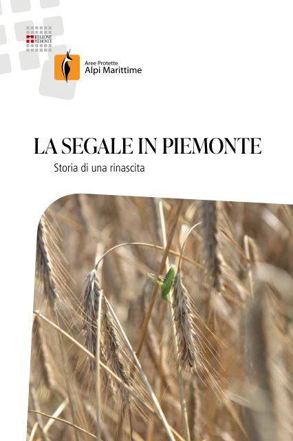 La segale in Piemonte. Storia di una rinascita