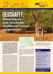 Geschafft: Nationalpark zum Schutz der Giraffen im Tschad ausgewiesen