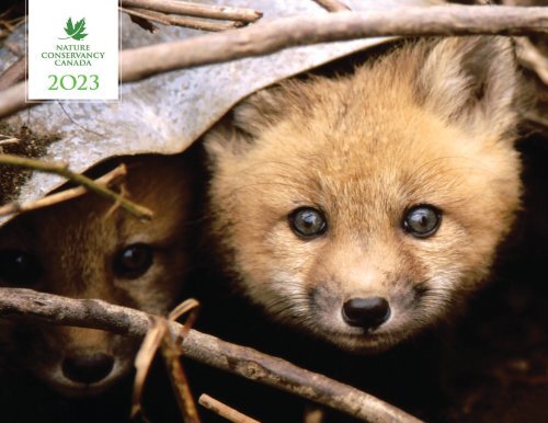 NCC 2023 Calendar Sample - English