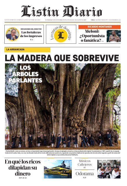 Listín Diario 23-10-2022