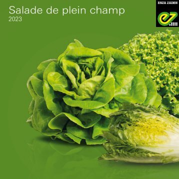 SALADE plein champ 2023