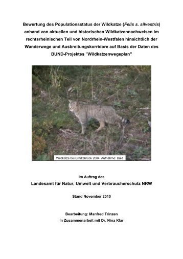 Bewertung des Populationsstatus der Wildkatze (Felis s ... - BUND Nrw