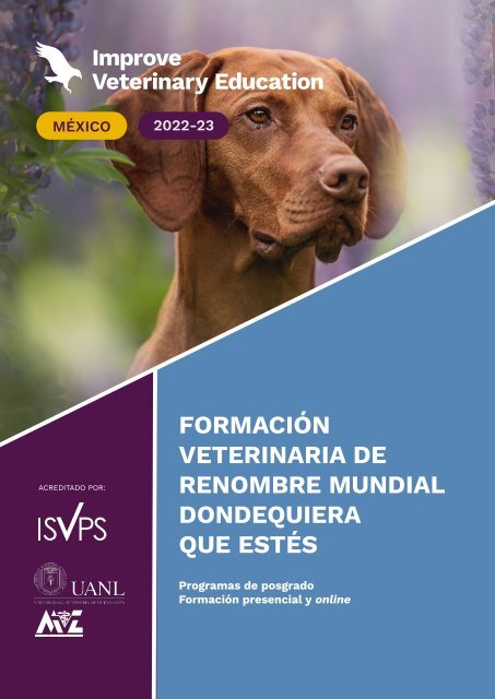 IVE_MX_Brochure_Oct_2022