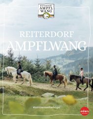 Reiterdorf Ampflwang