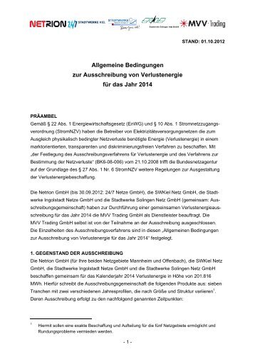 Allgemeinen Bedingungen der Ausschreibung - Netrion GmbH