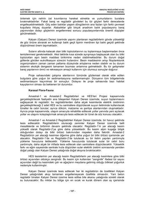 aköz enerji elektrik üretim san. a. ş. amastal regülatörü ve hes projesi