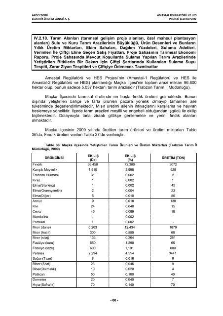 aköz enerji elektrik üretim san. a. ş. amastal regülatörü ve hes projesi