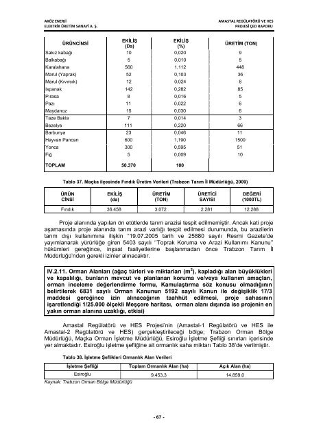 aköz enerji elektrik üretim san. a. ş. amastal regülatörü ve hes projesi