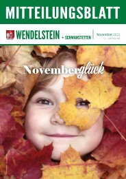 Wendelstein+Schwanstetten - November 2022
