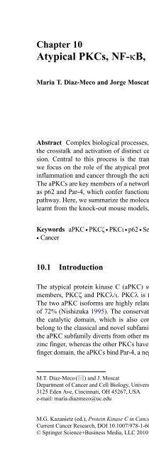 Diacylglycerol Signaling