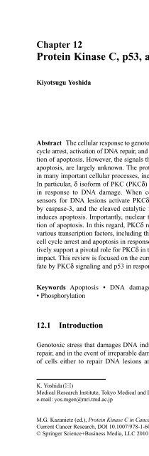 Diacylglycerol Signaling