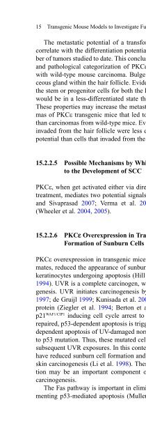 Diacylglycerol Signaling