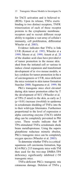 Diacylglycerol Signaling