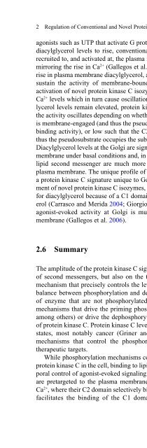 Diacylglycerol Signaling