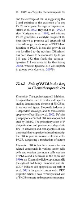 Diacylglycerol Signaling