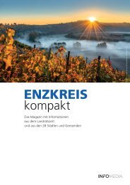Enzkreis kompakt 2022
