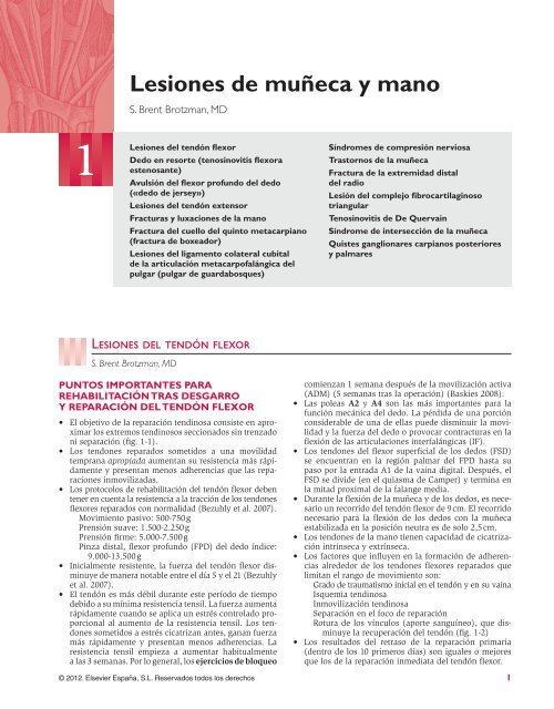 aplastar lesión fisiopatología de la diabetes