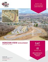 Horizon_View_[Marketing Flyer]