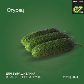  Огурец для выращивания в защищенном грунте 2023-2024