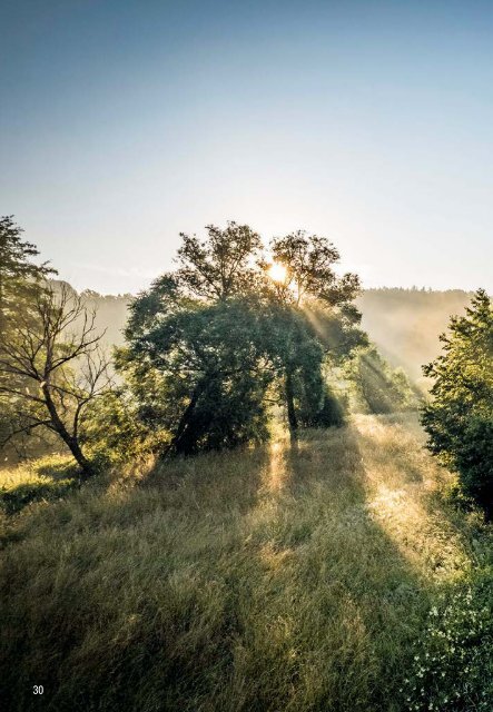 Freizeitmagazin Oberpfälzer Wald Winter 2022/2023