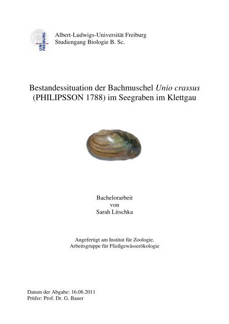 4.3 Hydrologische Untersuchungen