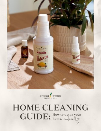 Home Cleaning Guide: How to detox your home, naturally