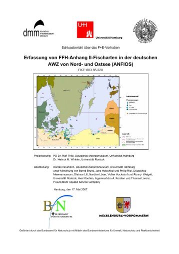 Erfassung von FFH-Anhang II-Fischarten in der deutschen AWZ von ...