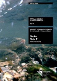 Fische Stufe F – (flächendeckend) - Modul Stufen Konzept