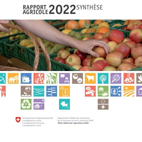 Rapport Agricole 2021 Synthèse