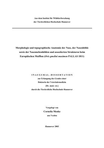 Morphologie und topographische Anatomie der Nase - Stiftung ...