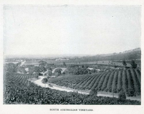 Under the Southern Cross - Glimpses of Australia - 1908